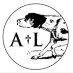 ADAM LLOYD INTERIORS